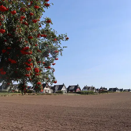 Ostseeferienhaus California Дом отдыха *