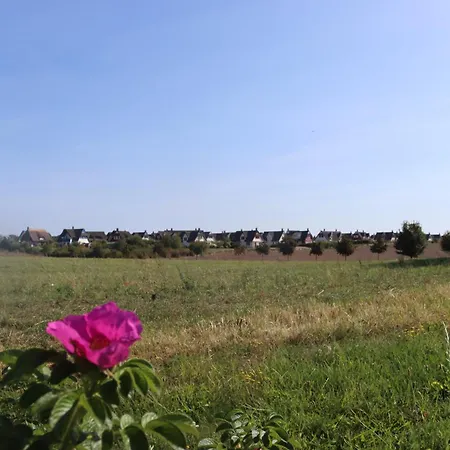 Дом отдыха Ostseeferienhaus California