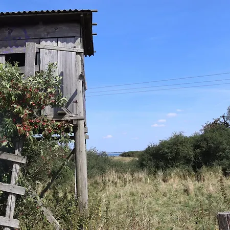 Ostseeferienhaus California Дом отдыха