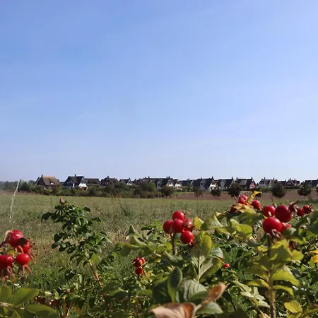 Ostseeferienhaus California Циров