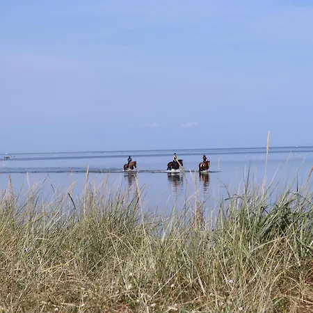 Дом отдыха Ostseeferienhaus California *