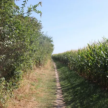 Ostseeferienhaus California Циров